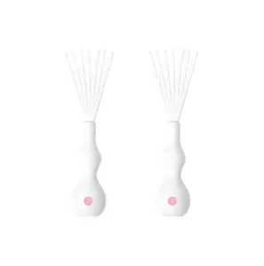 Hair Brush Brush, 2-Piece Set