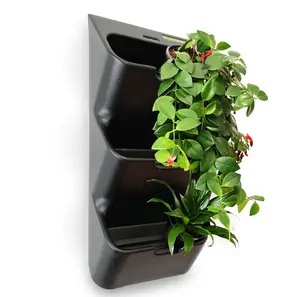 BOXSAND-6 Wall Planter, Living Wall (12"x26") - 6 Plants, Black Color