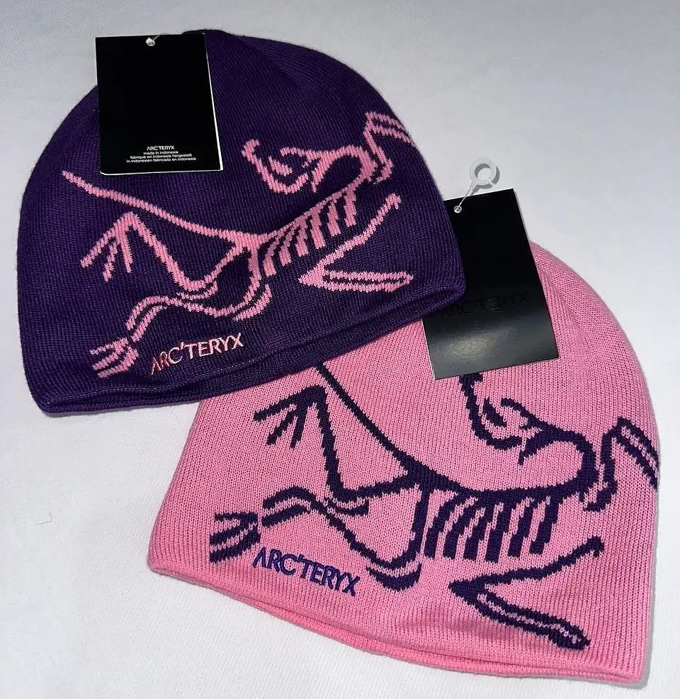 Arc'teryx Inspired Bird Head Toque Beanie – Pink & Purple | Large Contrast Logo Knit Print | Soft Warm Wool Winter Hat | Brand New with Tags | Gorpcore Y2K Coquette Streetwear | Unisex Ski Hiking Outdoor Cap | Gift for Her