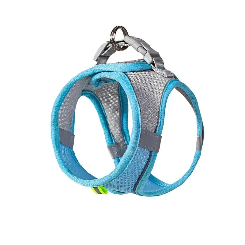 Dog Harness Leash Set - Compatible Leash for Dogs, Includes Harness and Leash, Ideal for Outdoor Activities