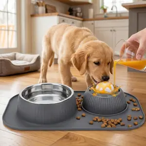 3-in-1 Puppy Feeding Station  Slow Feeder + Water Bowl