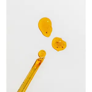 Honeysticks Sweet Flavor Set of 10 Single-Serving - 100% Grade A Quality, Perfect for On-the-Go Enjoyment