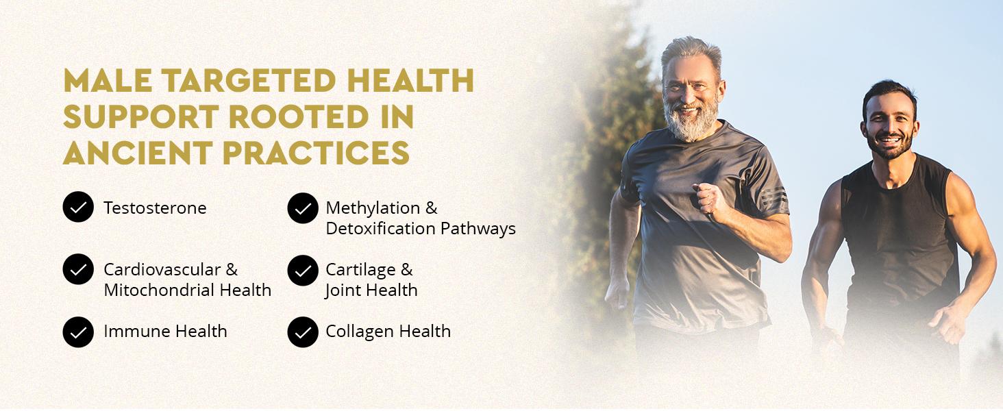 Ancestral Supplements MOFO-  180 Capsules Supports Energy Production Detoxification Digestion Immunity Full Body Wellness Non-GMO Freeze Dried Liver Health Supplement