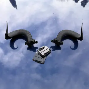 Ram Horns
