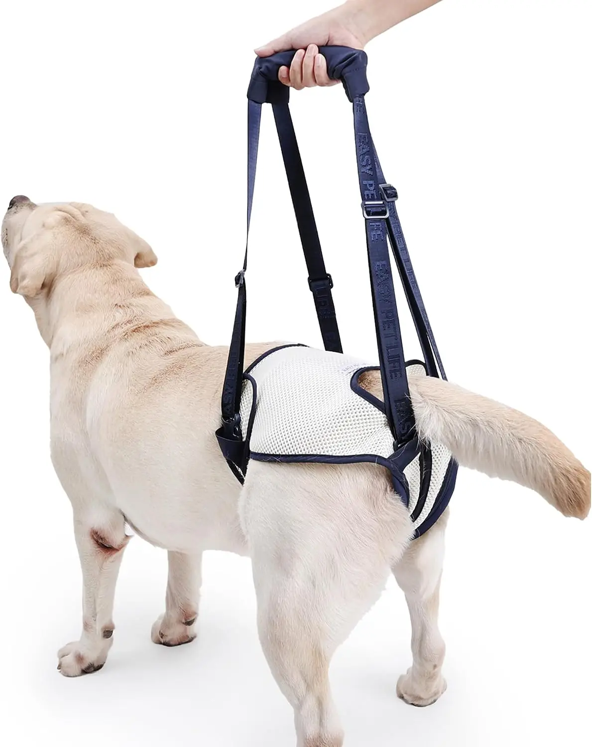 Dog Lift Harness for Back Legs - Adjustable Mobility Aid for IVDD/Paralyzed/Senior Dogs (3-in-1 Sling Design), Comfortable Leg Support, Instantly Help Your Dog Walk Again (Blue, M)