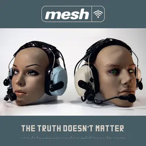 Mesh - The Truth Doesn't Matter  [COMPACT DISC - CD]