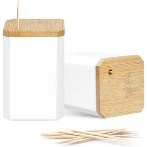 Toothpick Holders 2 Pack with 4800 Picks,Round Toothpicks Double-Side Point for , Pick,Appetizers, Fruits,Olive&DIY Craft.