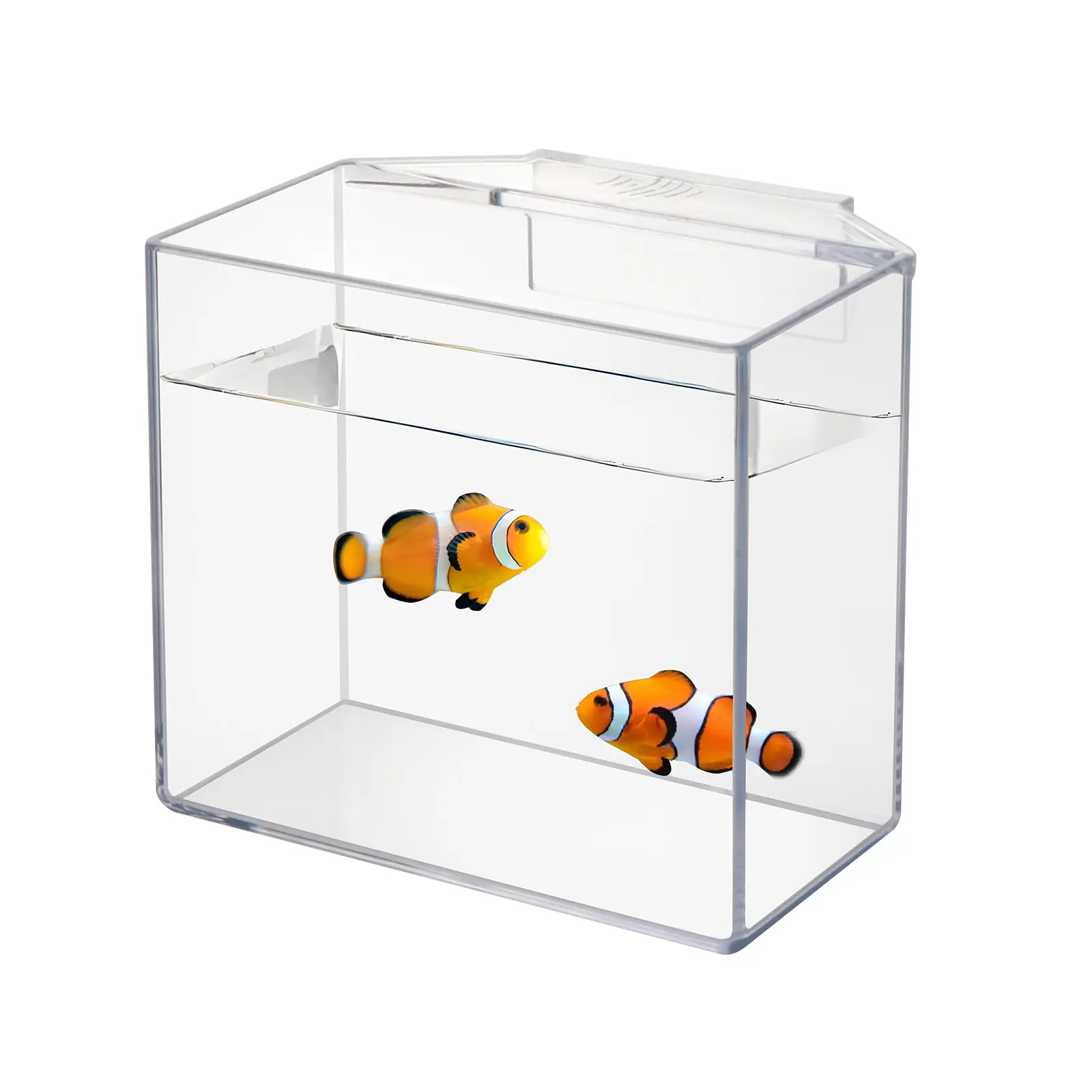 Drip Acclimation Container for Fish & Corals – Hanging Acclimation Box for Saltwater & Freshwater Aquariums, Small