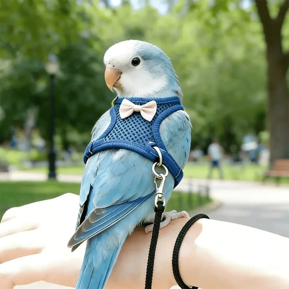 Parrot Flight Harness, Adjustable Fit Anti-Loss Bird Flight Set, Durable Outdoor Walking Tether Accessories, Parrot for Outdoor Activities, Easy Use