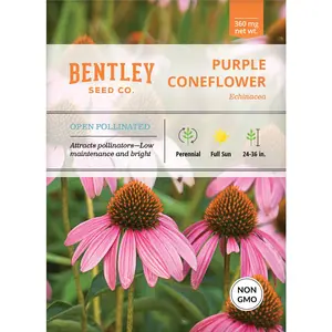 Purple Coneflower (Echinacea) Seed Packets