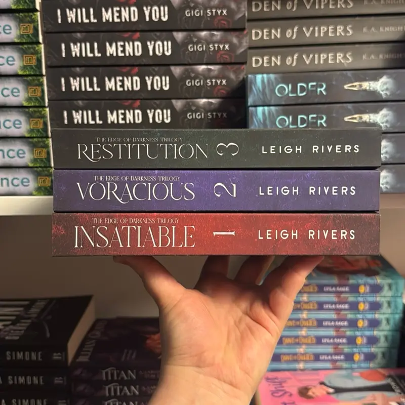 The Edge of Darkness Series by Leigh Rivers