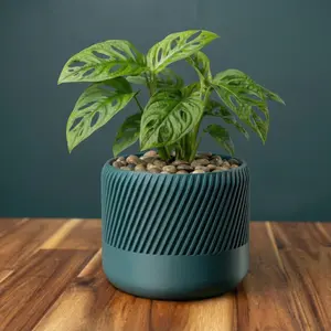 Helix Planter - Foundation