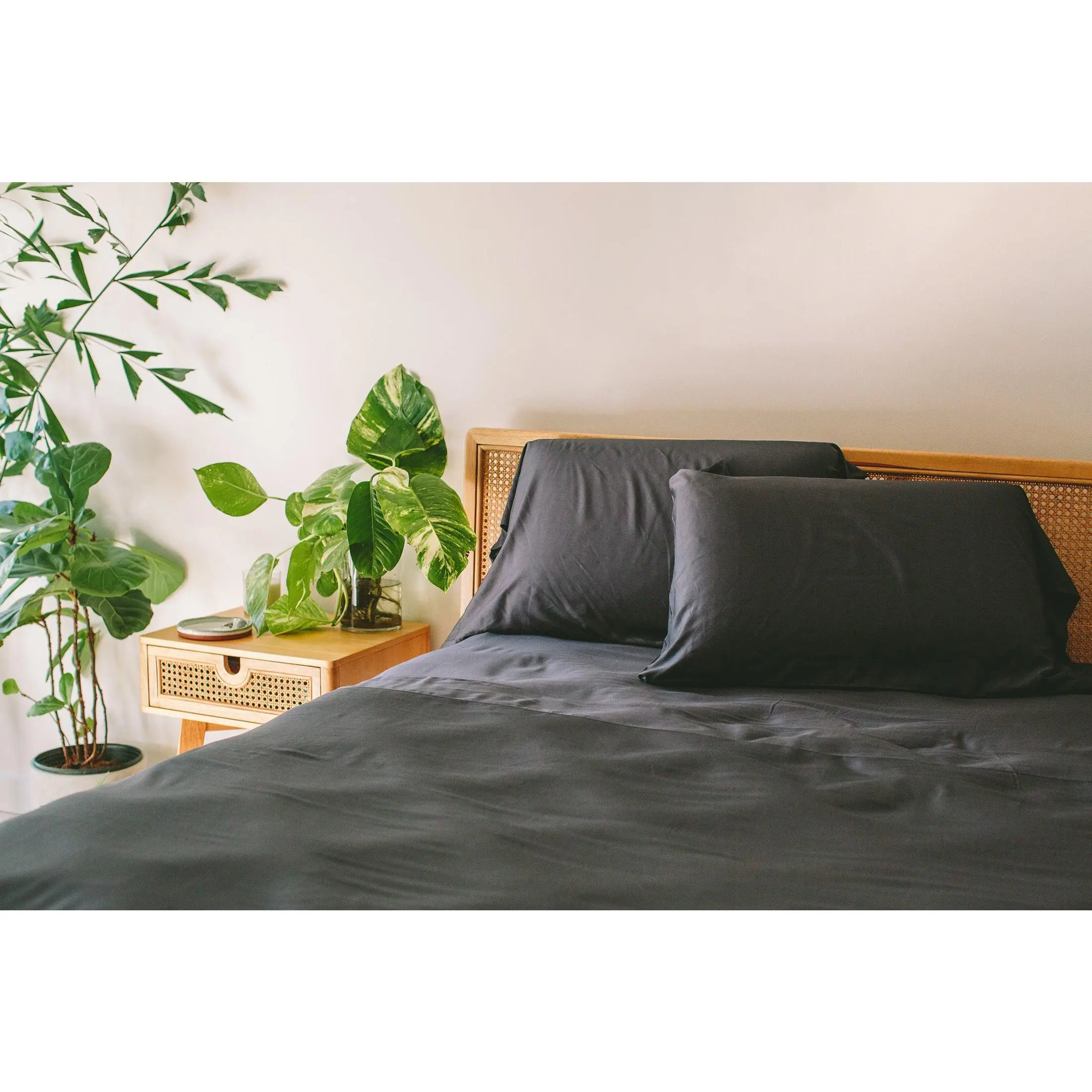 Bamboo Sheet Set + Pillowcases