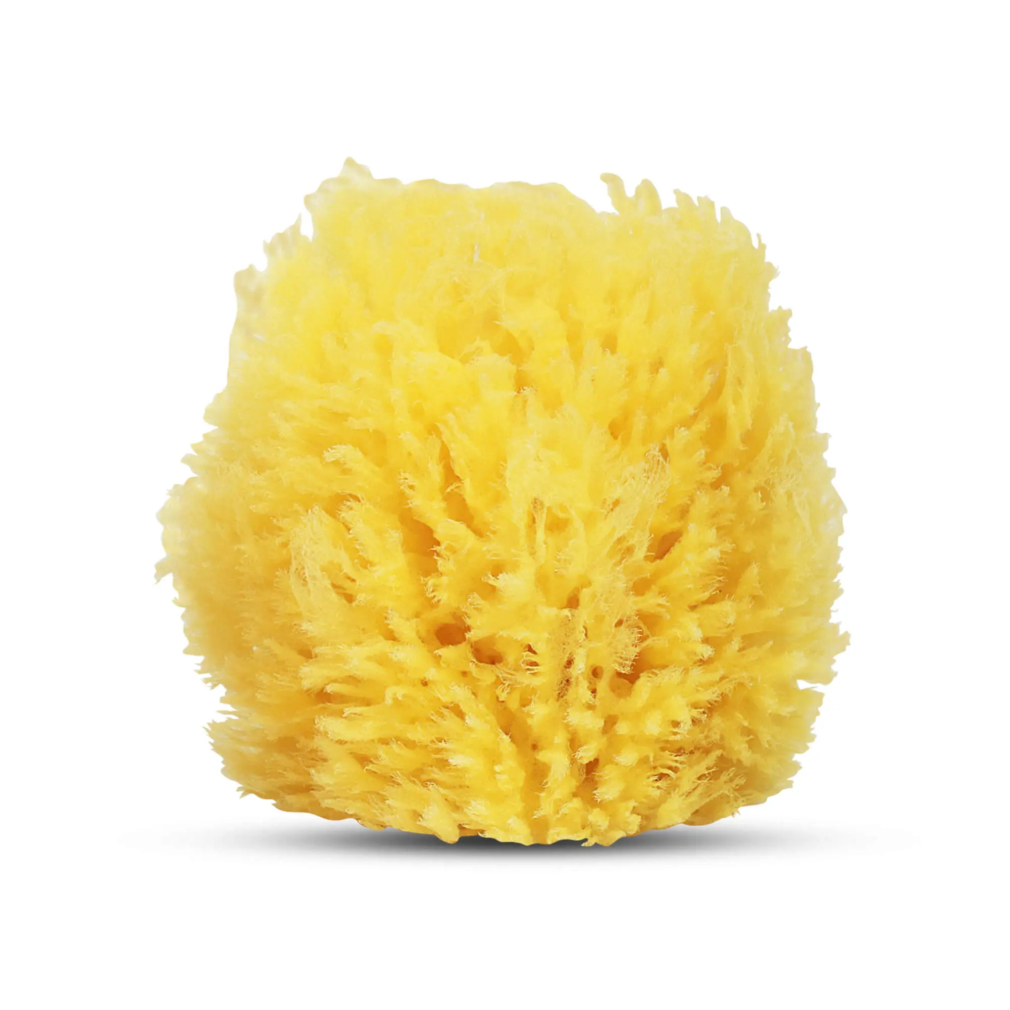 Baby Buddy Natural Baby Bath Sponge 4in Soft Grass Sea Sponge Soft on Tender Baby Skin, Biodegradable