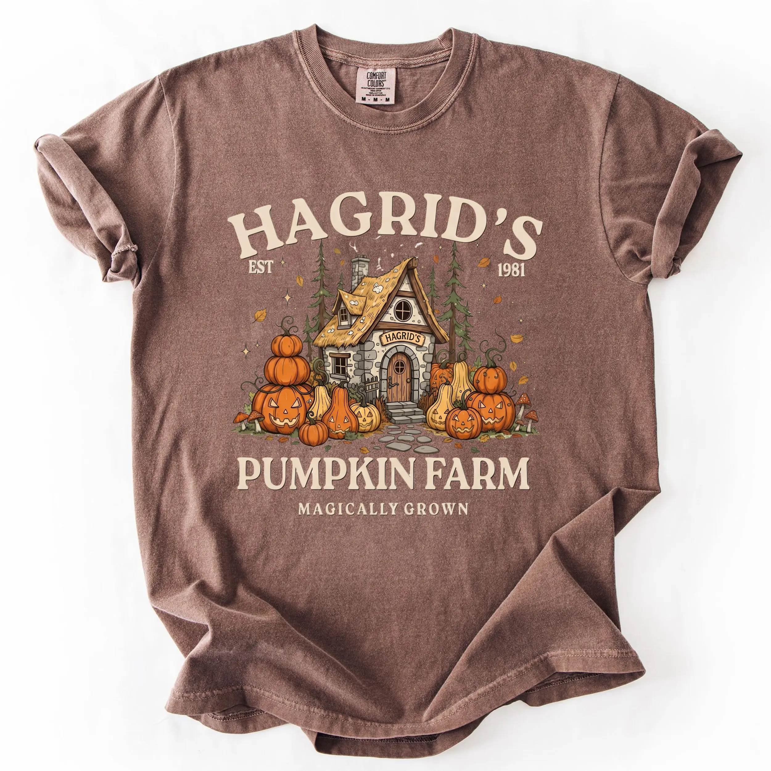 Hagrid's Pumpkin Patch Comfort Colors Shirt, Cozy Wizard Fall Crewneck, Unisex Tee - KL