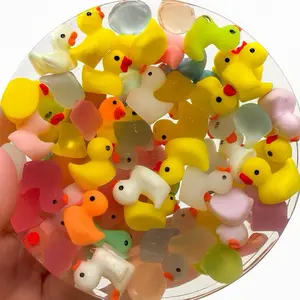 Remeltable Quack Pad - Colorful Design with Various Duck Colors and Glow in the Dark!