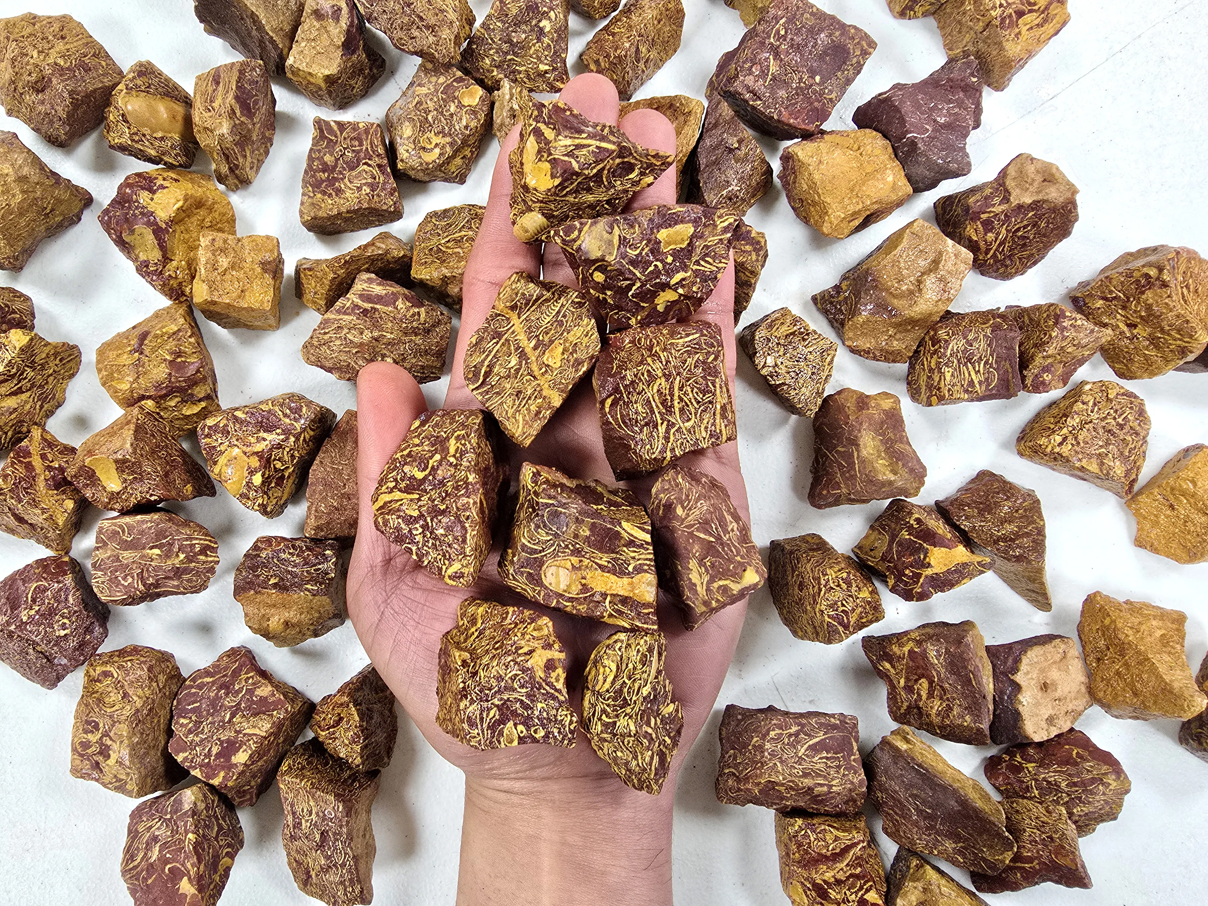 1 LB Sea Fossil Jasper AKA Calligraphy Stone Raw  Crystal Pieces