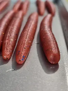 Earth Worm Senko – 5” Stick Bait (8-pack)