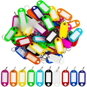 60 Pcs Key Ring Tags - Key Tags Plastic Assorted Colours,Identifiers,Name and Labels,Adapt to USB Drive,Pets,Bags Split Ring Window Lucky Line Flexible Colored