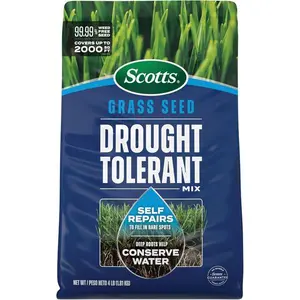 Drought Tolerant Grass Seed Mix Kentucky Bluegrass Tall Fescue Lawn Repair Thick Green Yard Covers 2000 sq ft