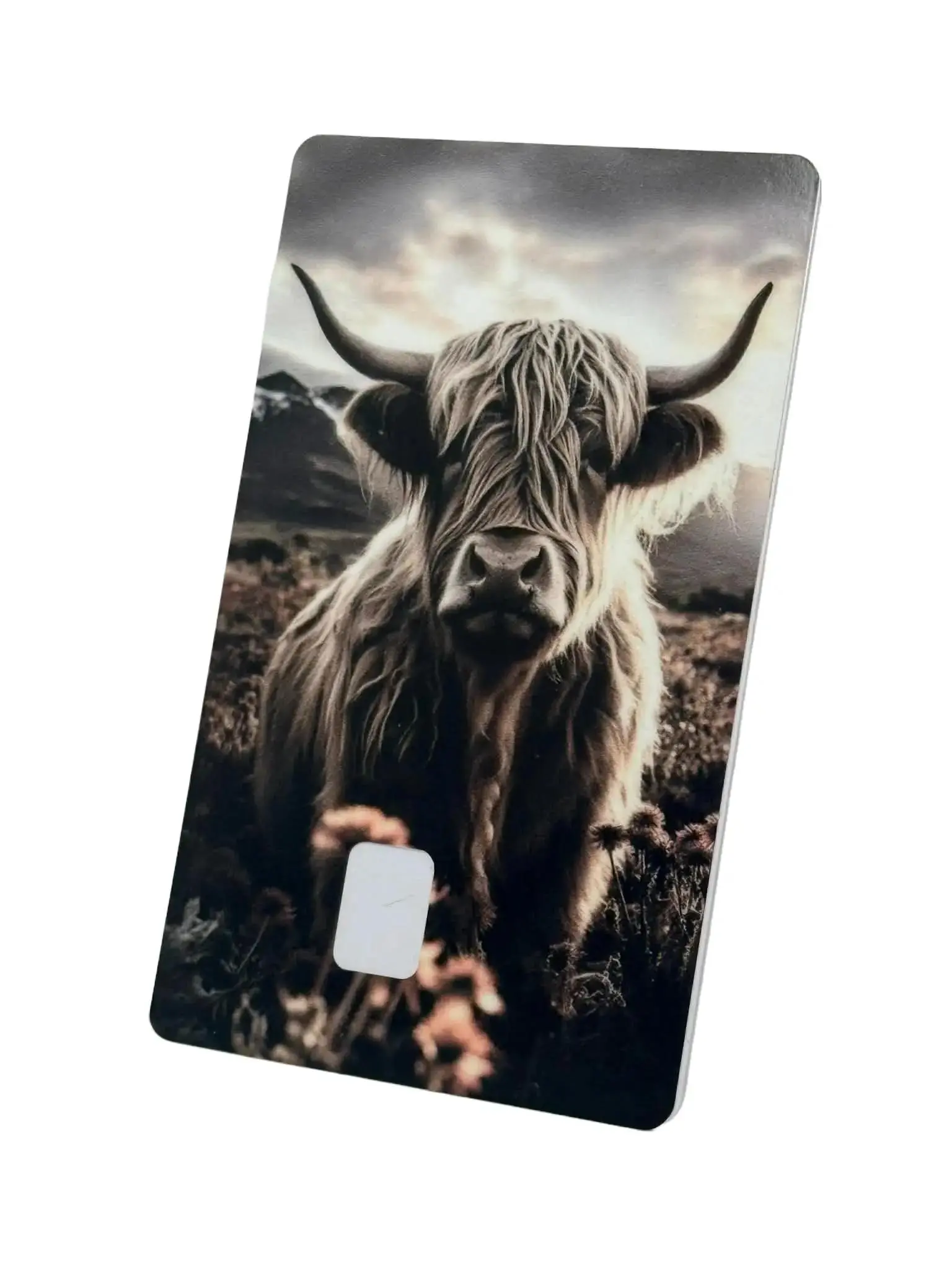 Highland Cow Custom Decal Sticker - Rustic Farmhouse Country Design, Office Stationery Decorative Wrap