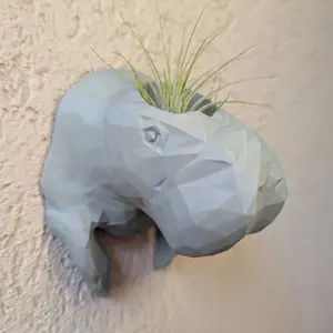Manatee Wall Planter with LIVE air plant