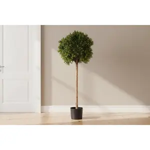 48"H Single Ball Boxwood Topiary