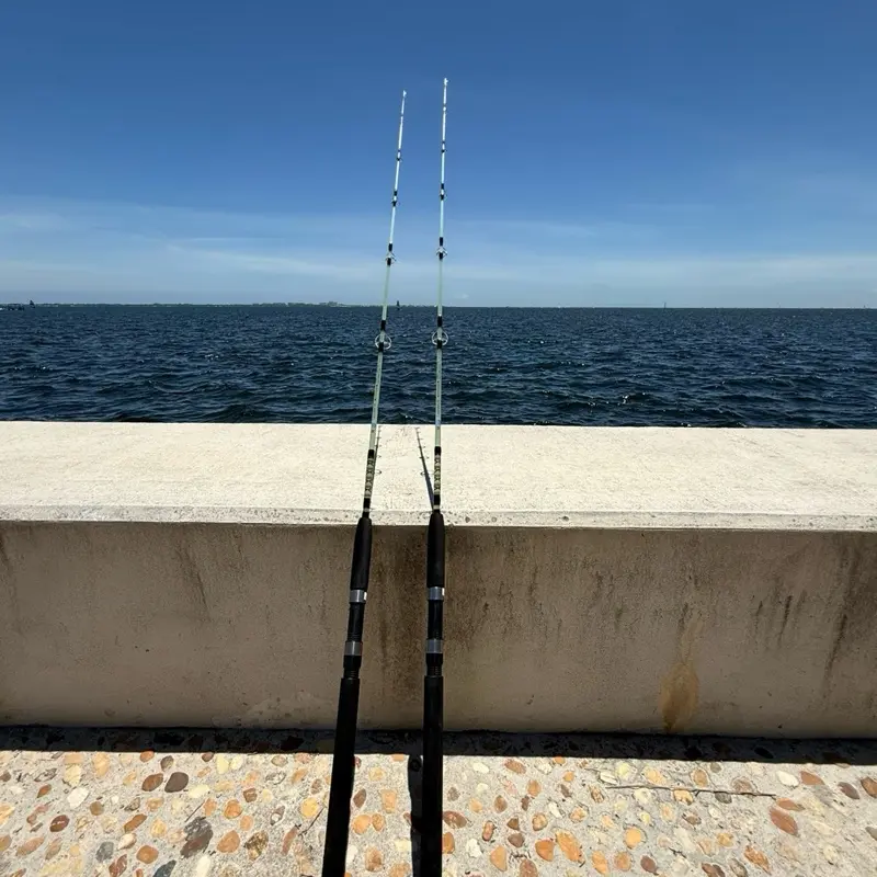 Largo Stick I Spinning Fishing Rod 7ft 1 Piece 7 Guides Medium Light  Fiberglass Saltwater Fishing Durable Portable Strong - TikTok Shop