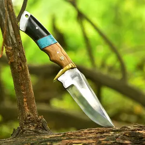 Custom Handmade Carbon Steel D2 High Polish Fixed  Blade Knife Wood Resin Brass Guard Handle