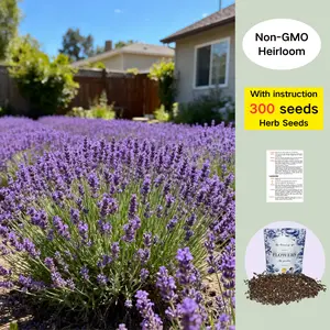 English Lavender Seeds 300 Herb Seeds, Wildflower Seed for Planting Indoor/Outdoor,High Germination,Plant Flower(Lavandula antustifolia) Visit the HOME GROWN Store