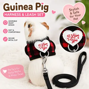 Zoomie Zone Guinea Pig Harness and Leash Set, Cute Small Animal Vest Clothes with Heart Embroidery for Bunny, Hamster, Ferret, Soft & Comfortable Pet Walking Lead Escape-Proof