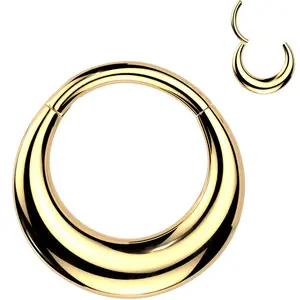 16G 5/16 Gold Tone Simplicity Thick Precision Hinged Segment Ring