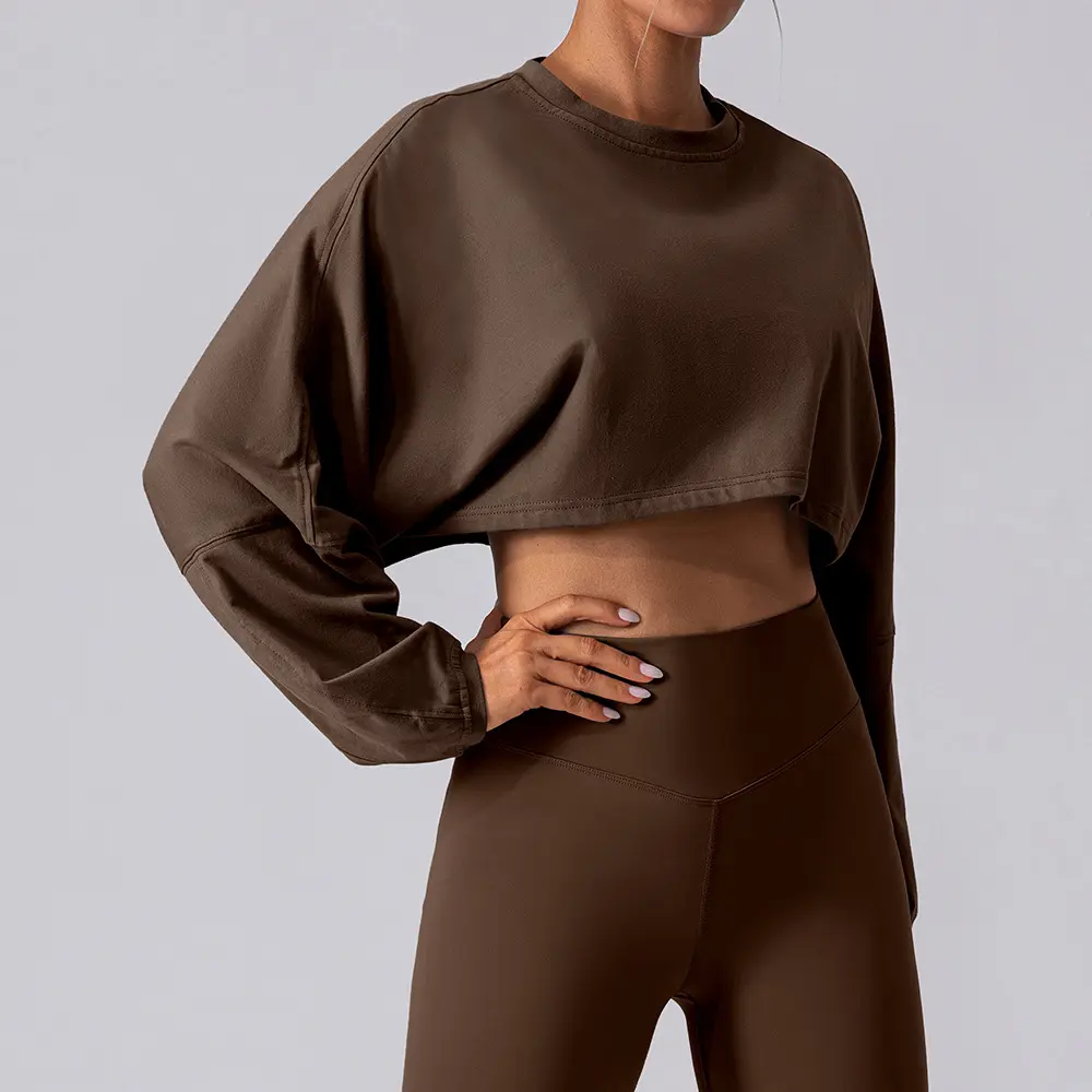 Female Long Sleeve Crew Neck Crop Sweatshirt - Loose Fit, Soft Nylon Blend, All Seasons Casual Style Pullover - Basic Sports Layering Top for Yoga, Loungewear, Women's, Crop Cut