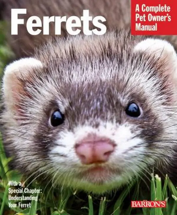 USED Book - Ferrets: Barron's Pet Owner's Manual by Morton, E. Lynn (Paperback) - english