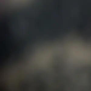review image 5