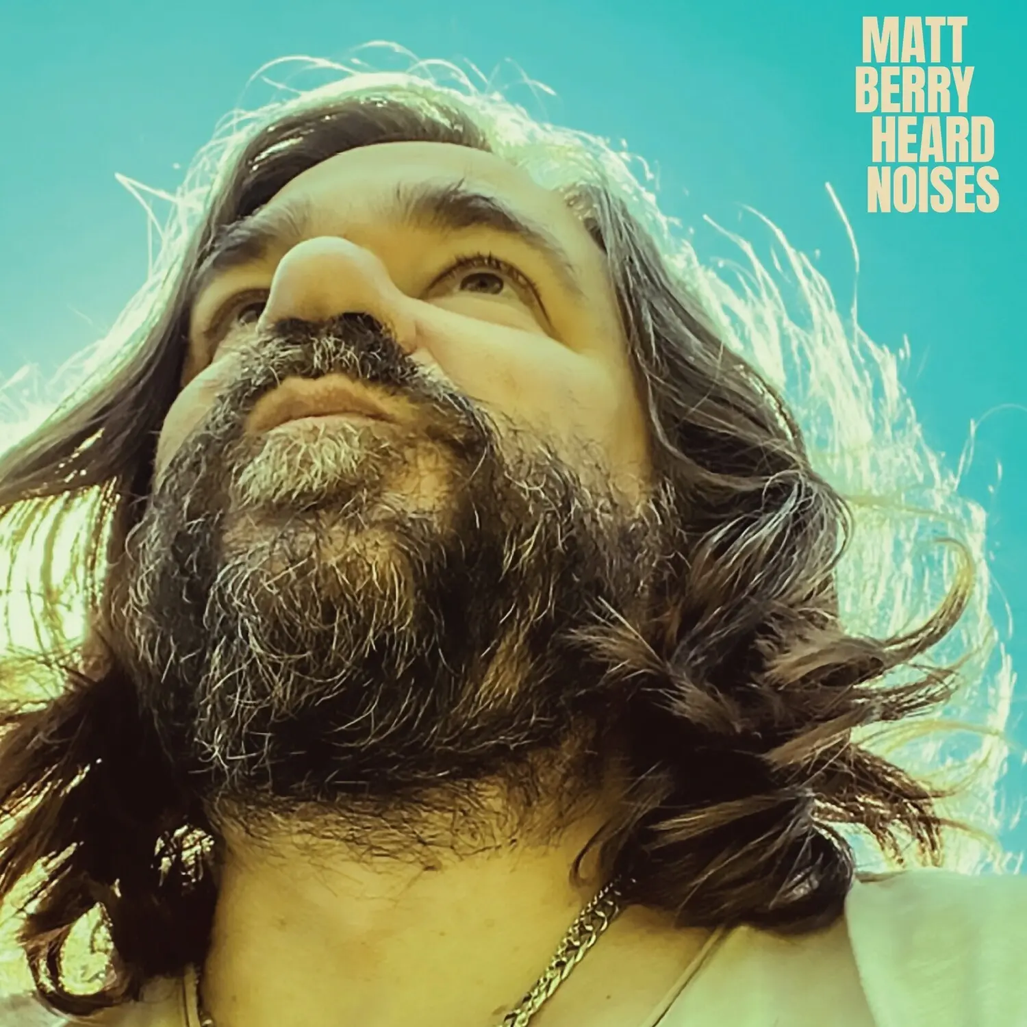 Matt Berry - Heard Noises  [CASSETTES]