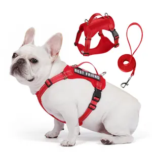High Vis Reflective Service Dog Harness, Customizable Hook & Loop Panel gift