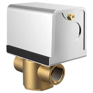 Digital Automatic Blowdown Steam Valve