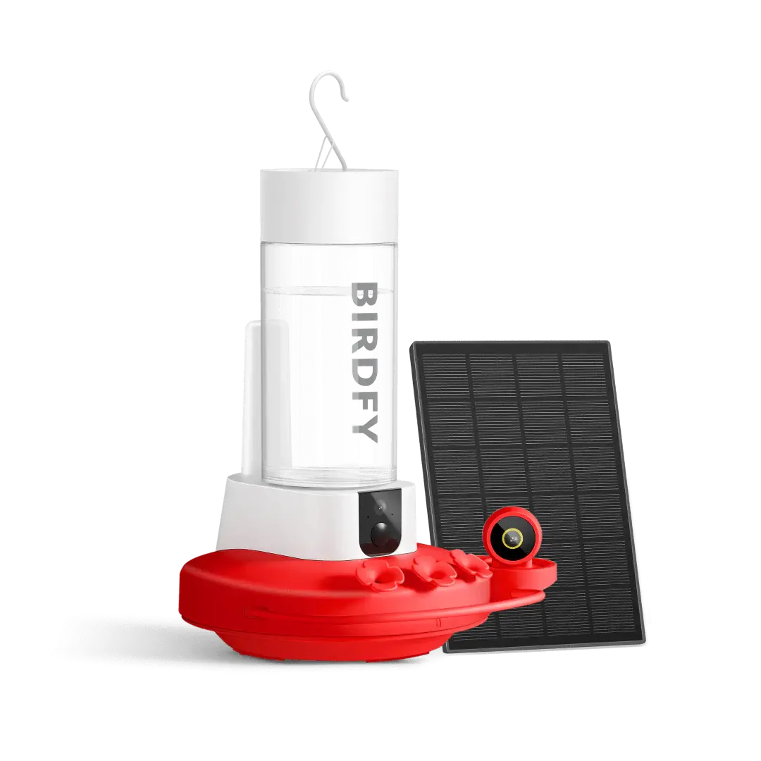 Birdfy Hummingbird Feeder with Dual Cameras - 2K HD Smart Cameras Solar Powered, Close-Up Bird Video/Live Watching & Instant Notifications, Ant Moat & Leakproof - 20oz, SummerVibes, Petlovers
