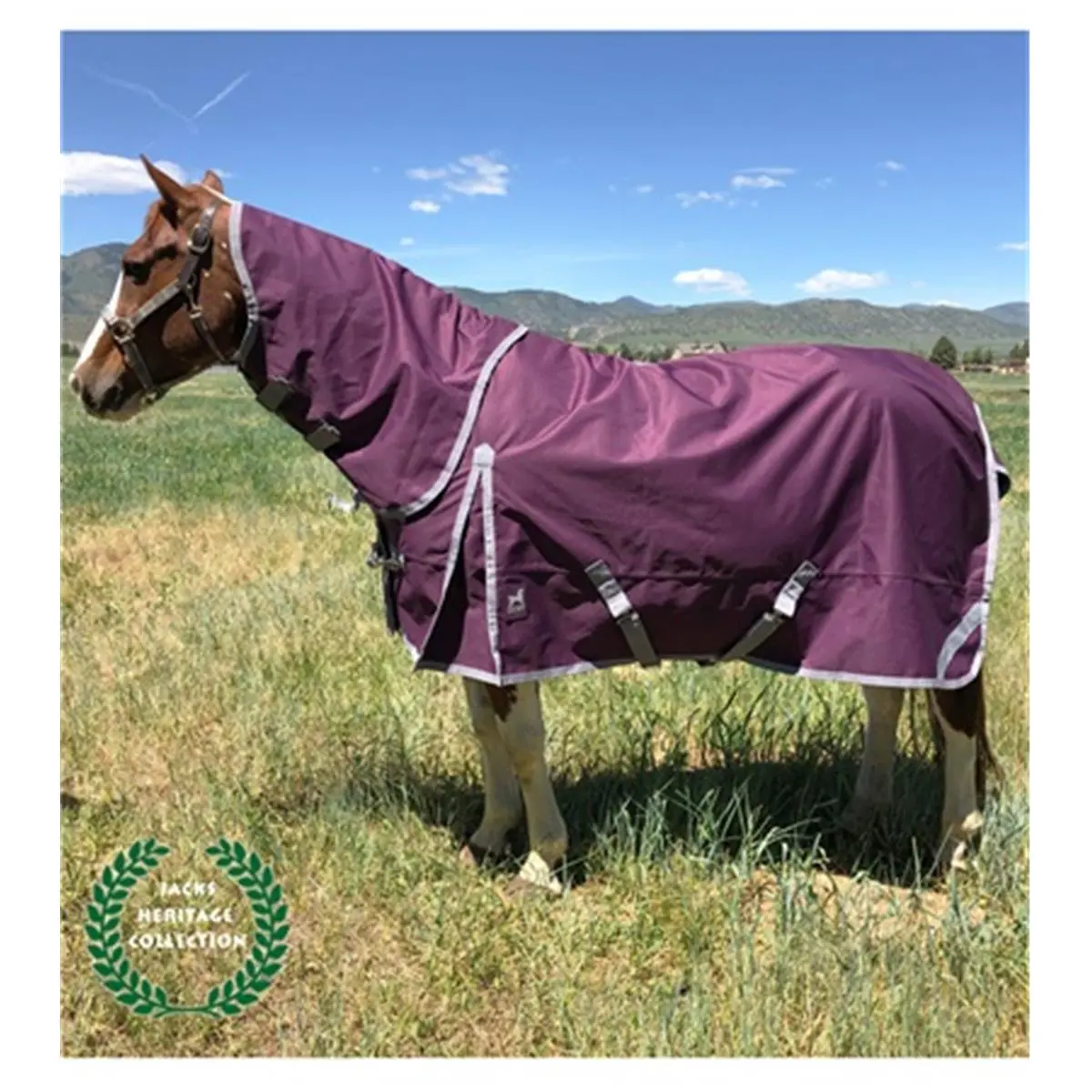 Jacks Boreas 1200D Polyester Turnout Blanket - Durable, Waterproof & Breathable Equestrian Horsewear with Detachable Neck, Adjustable Contoured Fit, 260g Lining, Purple, 84 in, Horsewear & Bandaging, Keep Warm Horsewear
