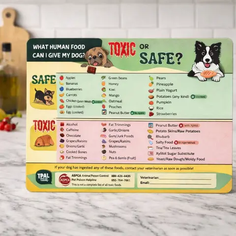 "Can My Dog Eat This?" Magnet – The Ultimate Quick Guide for Pet Parents! Animal Refrigerator Kitchen Magnet