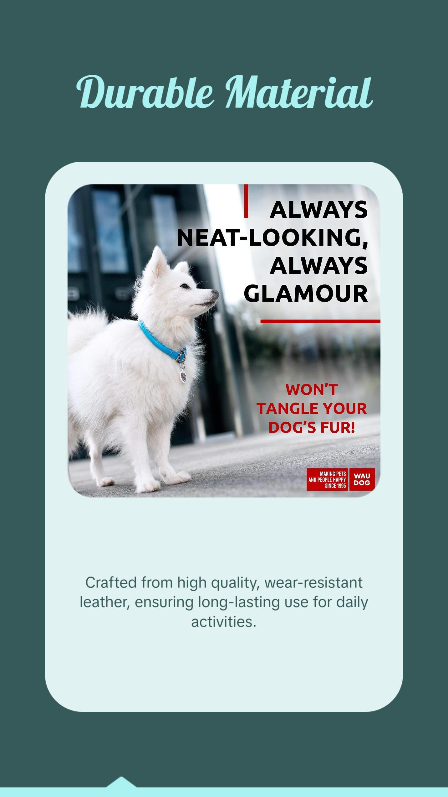 Blue Ultra Soft Rolled Leather Dog Collar for XSmall Dogs