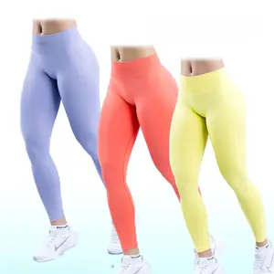 Women's High-Waisted Seamless Impact Leggings - Nylon Butt-Lifting Sporty Sports Bottoms, All-Season Gym Activewear for Snatched Look, Stretchable Athleisure Clothes