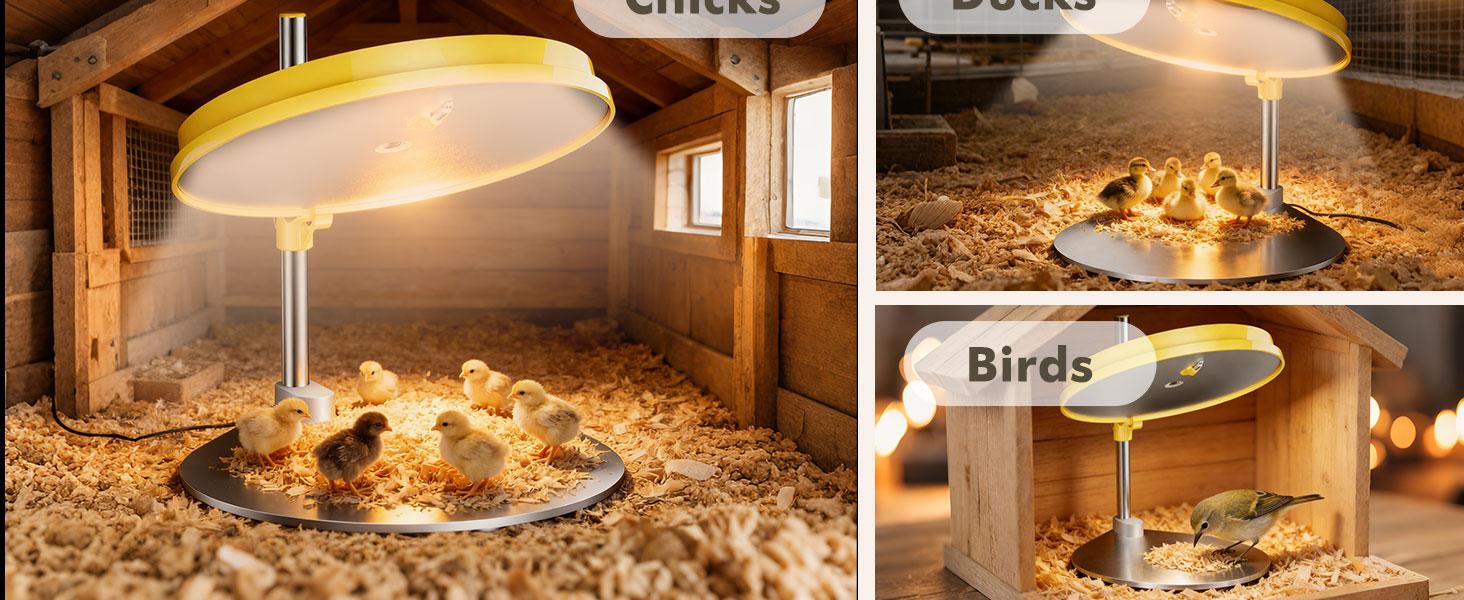 45W Adjustable Chick Brooder Heating Plate, Anti-Fire Energy-Saving Poultry Heater, Height & Angle Adjustable for Chicks Ducks Quail