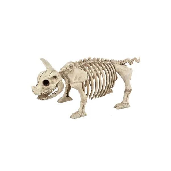 14.75" Pig Skeleton Prop