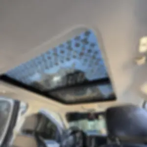 Sunroof/moonroof Decal