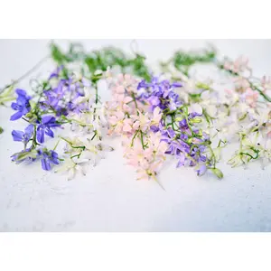 Imperial Blend - Larkspur Seeds