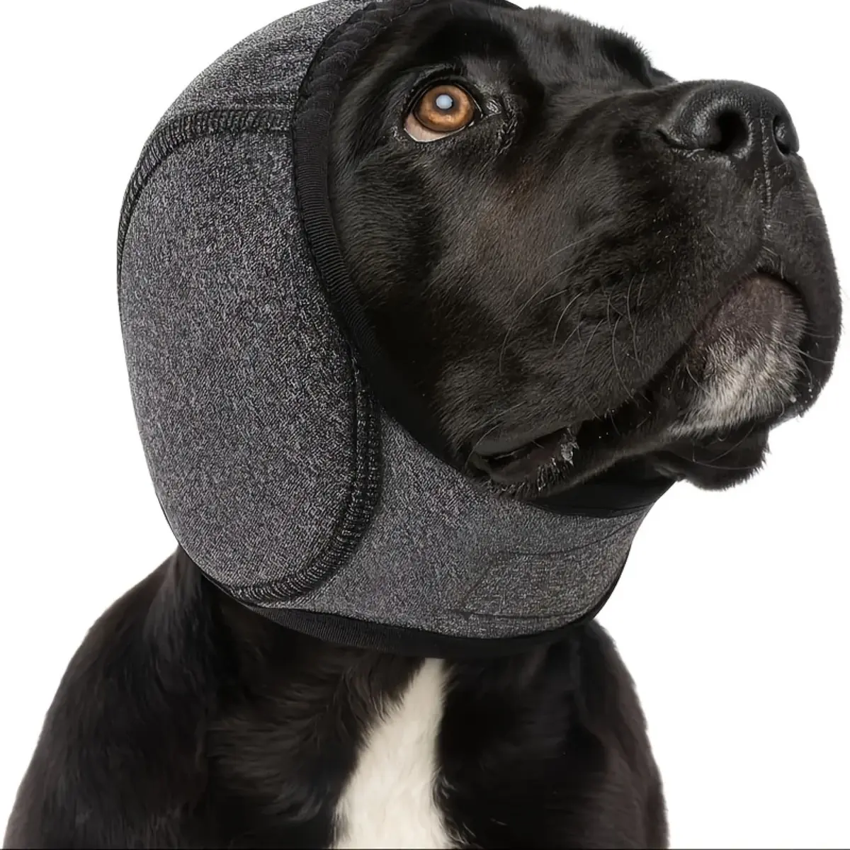 Professional Noise-Canceling Dog Ear Muffs - For Swimming/Thunderstorms/Vet Visits |     Breathable Memory Foam, Puppy to Adult Dogs |     Anxiety Relief & Secure Fit