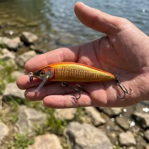 Artificial Fishing Lure,New Reflective Lure Dual Weight Floating Minnow Hard Bait, Largemouth Bass,Stable Swim, Rustproof Iron Fluorocarbon Treble Hooks, Outdoor Fishing Accessories