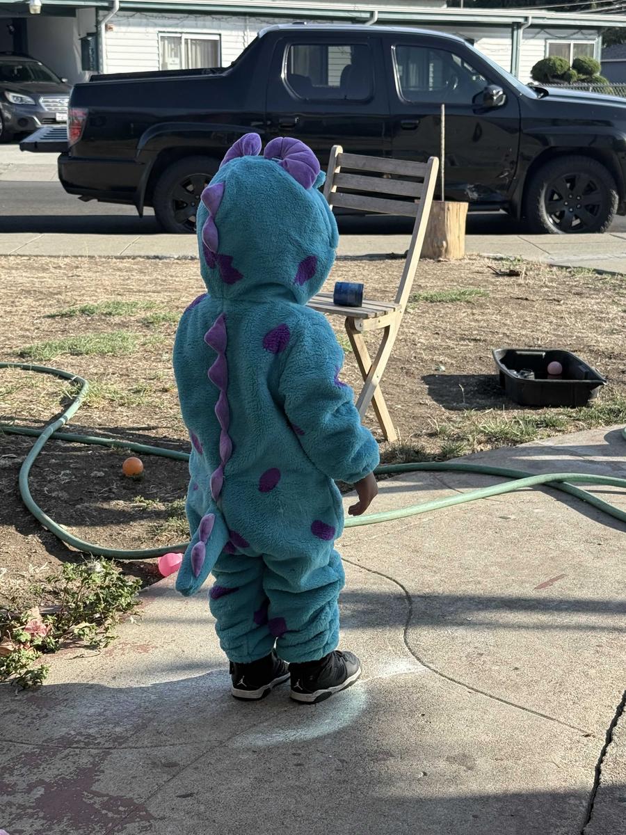 Item: Blue, 2-3 Years